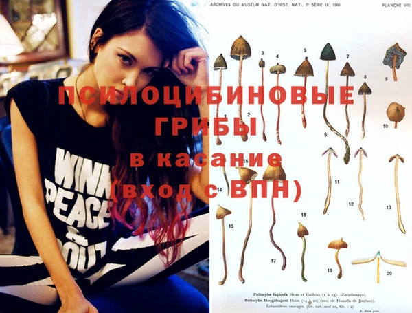 марки lsd Балабаново