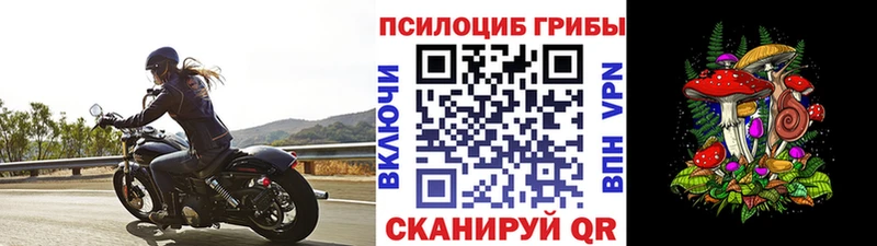 Псилоцибиновые грибы Magic Shrooms  Буйнакск 