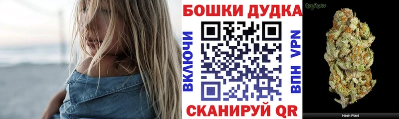 Бошки Шишки MAZAR Буйнакск